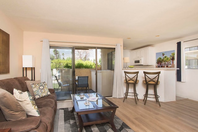 living room with light hardwood / wood-style flooring