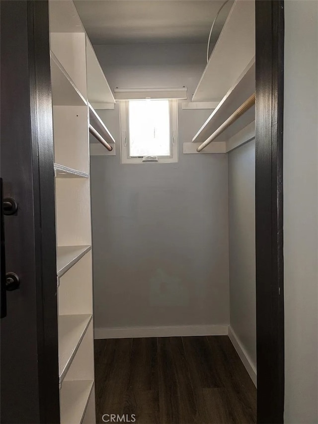 spacious closet with dark wood-type flooring