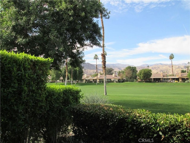 view of community featuring a mountain view and a lawn