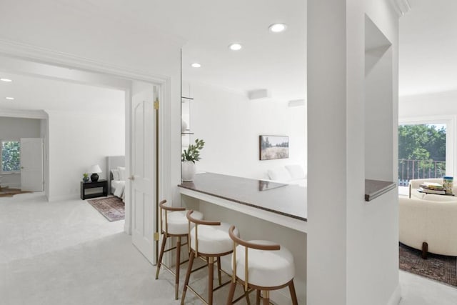 interior space featuring light colored carpet and ornamental molding