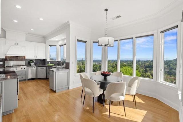 interior space featuring premium range hood, white cabinetry, tasteful backsplash, hanging light fixtures, and appliances with stainless steel finishes