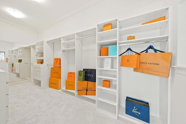 spacious closet with carpet flooring