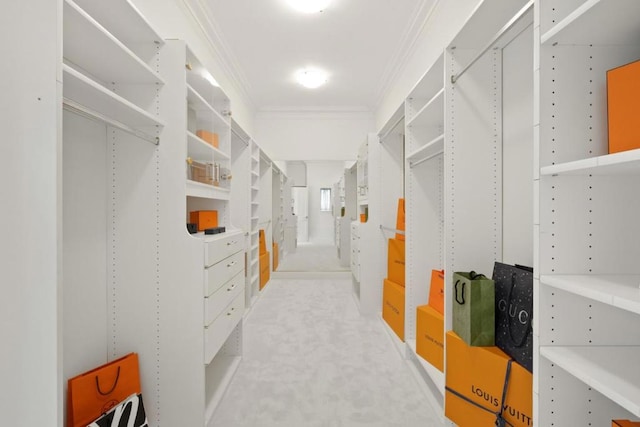 spacious closet featuring light colored carpet