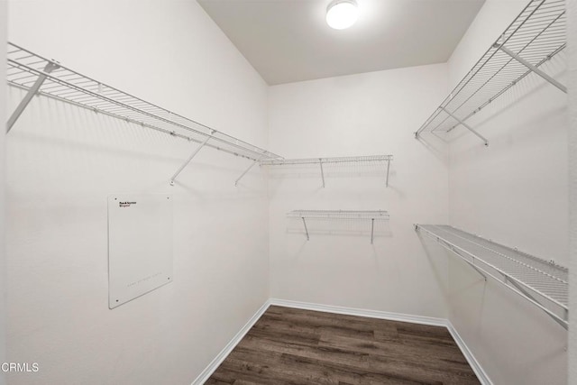 spacious closet featuring dark wood-type flooring