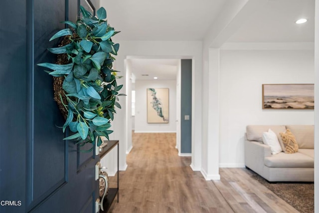 entryway featuring wood-type flooring