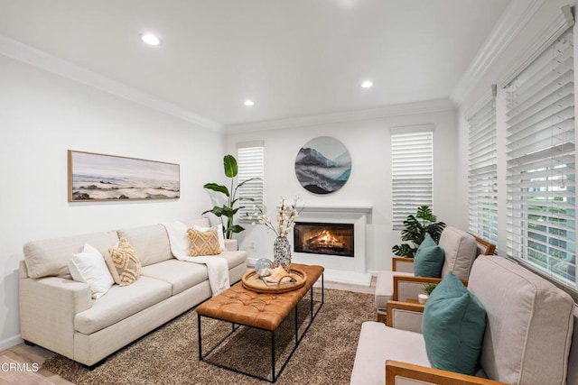 living room with wood-type flooring and crown molding