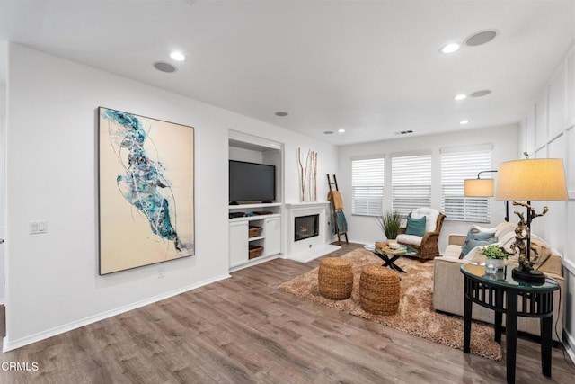 living room featuring wood-type flooring