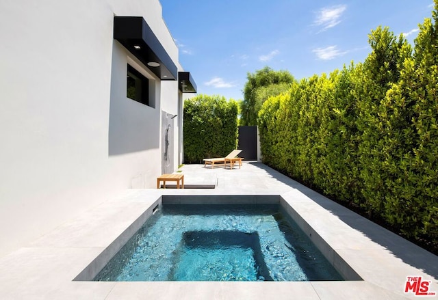 view of pool with a patio area