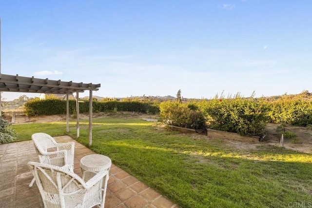 view of yard featuring a pergola and a patio area