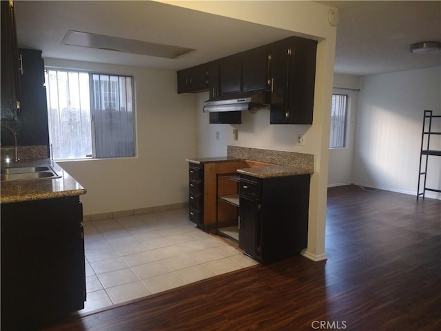 kitchen featuring dark brown cabinets, a healthy amount of sunlight, sink, and light hardwood / wood-style flooring