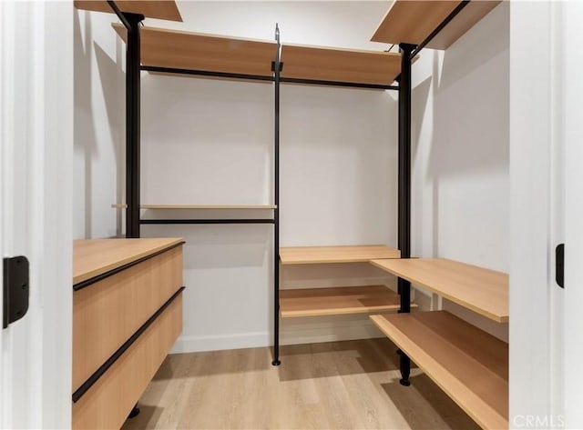 spacious closet featuring light wood-type flooring