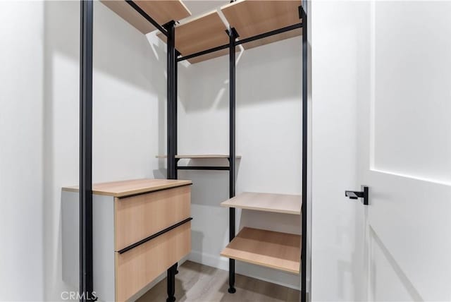 spacious closet featuring light wood-type flooring