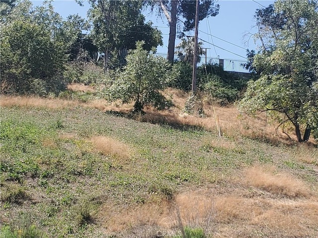0 Marengo, Los Angeles, CA 90063 - photo 12