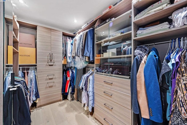 spacious closet featuring light hardwood / wood-style flooring