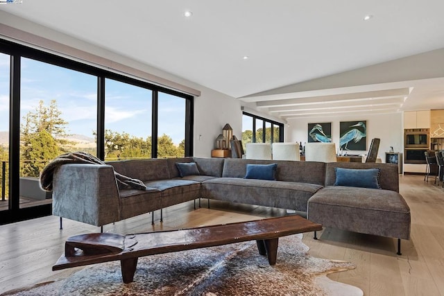 living room with lofted ceiling, light hardwood / wood-style floors, and a healthy amount of sunlight