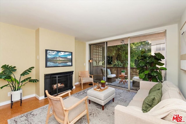 living room with hardwood / wood-style flooring