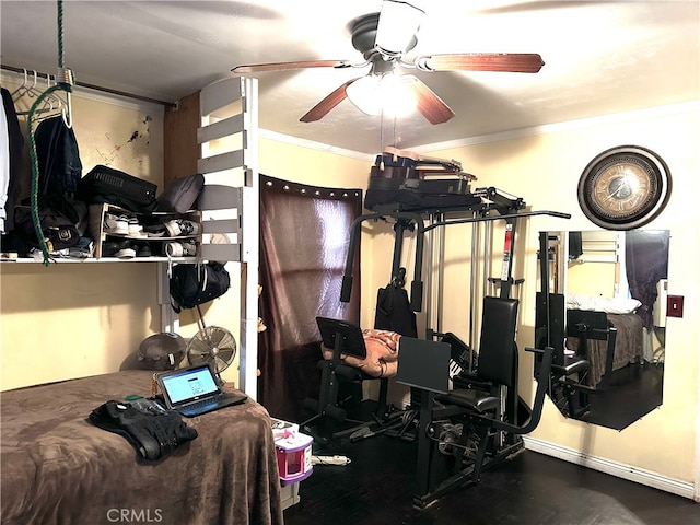 exercise area with crown molding and ceiling fan