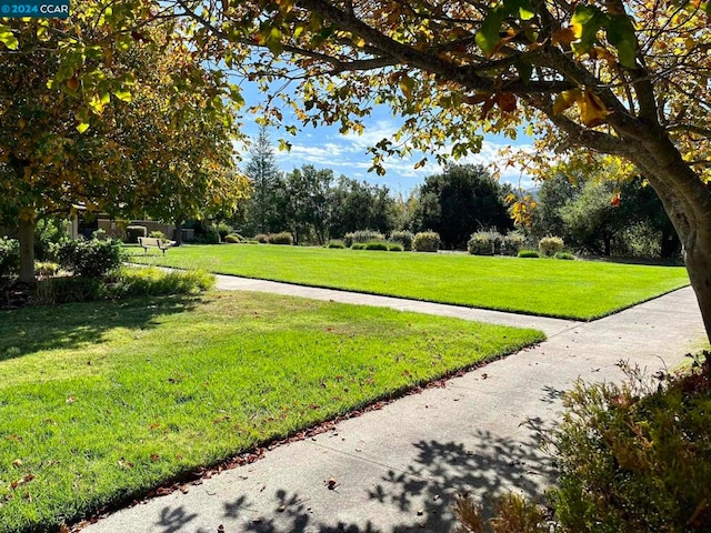 surrounding community featuring a lawn