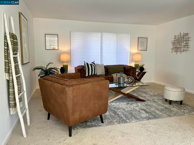 living room featuring carpet