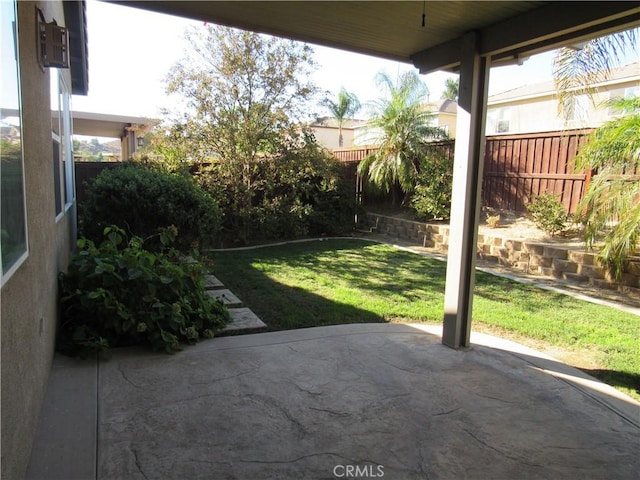 view of yard featuring a patio area