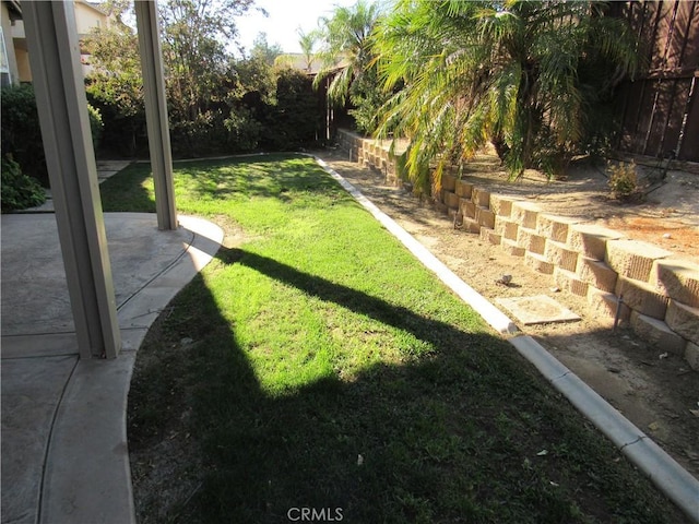 view of yard with a patio area