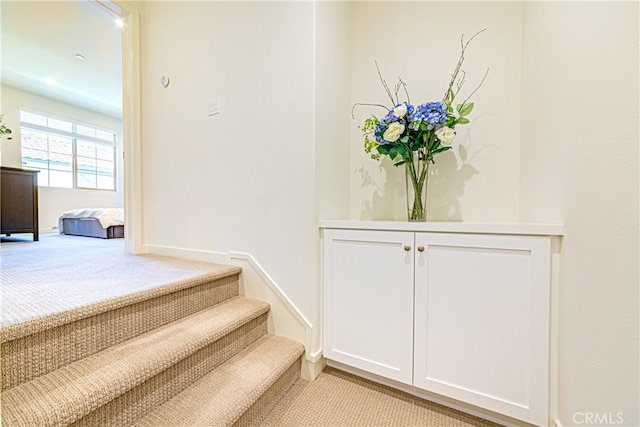 stairway featuring carpet floors