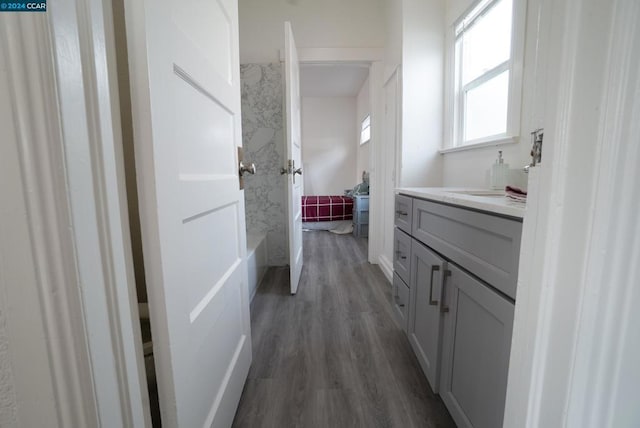 bathroom featuring vanity, wood-type flooring, and a washtub