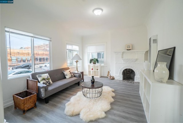 living room featuring a fireplace and hardwood / wood-style flooring