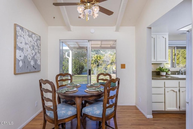 dining area featuring ceiling fan, light hardwood / wood-style floors, and a wealth of natural light