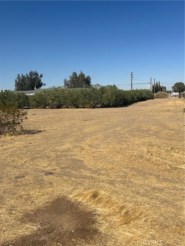 view of local wilderness with a rural view