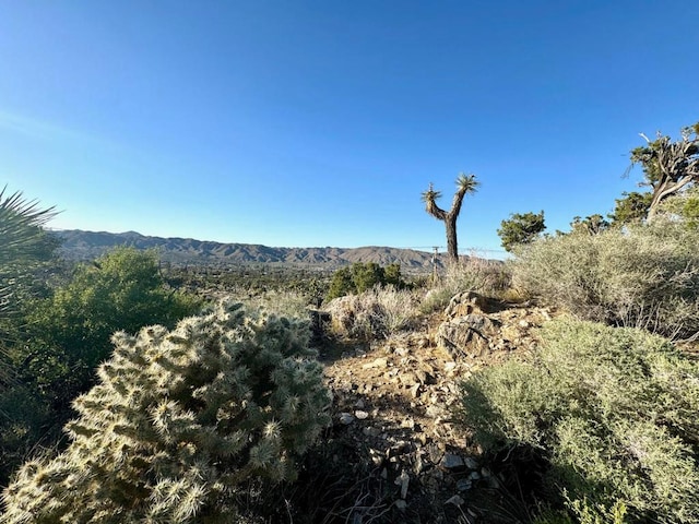 Listing photo 3 for 55650 Desert Gold Dr, Yucca Valley CA 92284