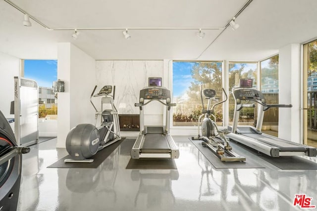 gym featuring plenty of natural light and rail lighting