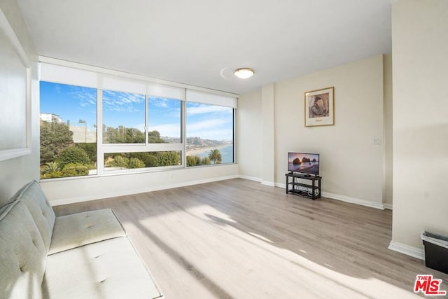 unfurnished room with wood-type flooring