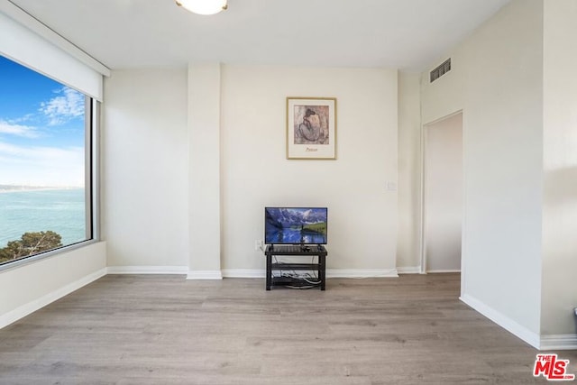 interior space with plenty of natural light, light hardwood / wood-style floors, and a water view