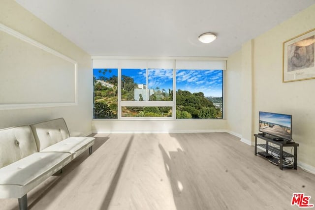 living room with hardwood / wood-style floors