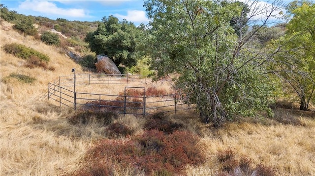 view of yard featuring a rural view