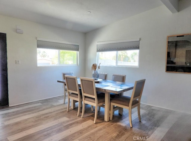 dining space featuring a healthy amount of sunlight and wood finished floors