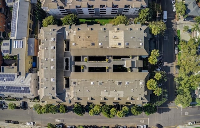 bird's eye view