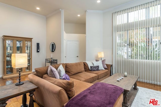 living room featuring ornamental molding and wood-type flooring