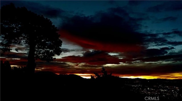 view of nature at dusk