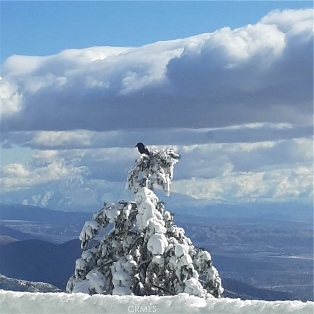 view of mountain feature