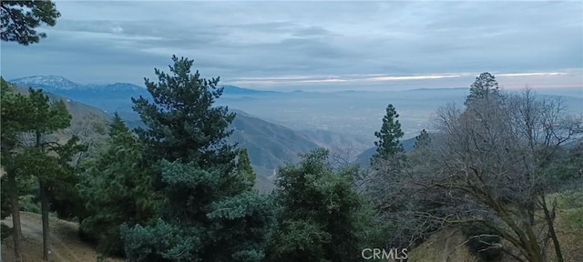 view of mountain feature