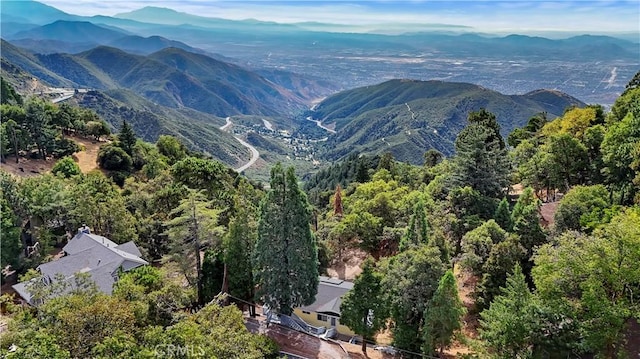 view of mountain feature with a wooded view