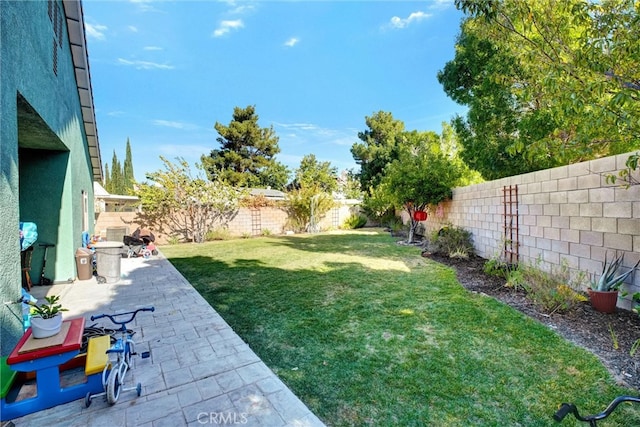 view of yard featuring a patio