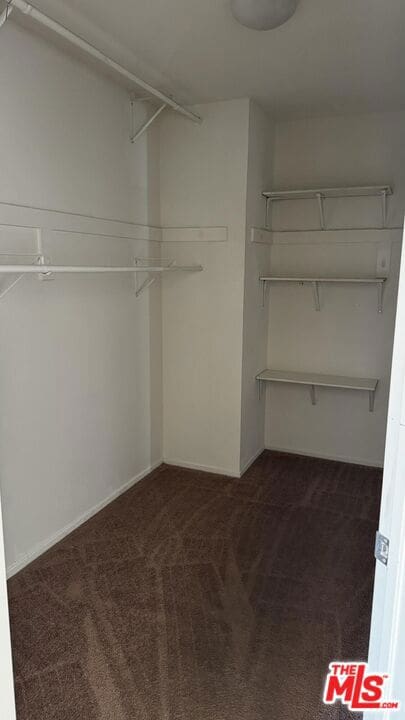 walk in closet featuring dark colored carpet