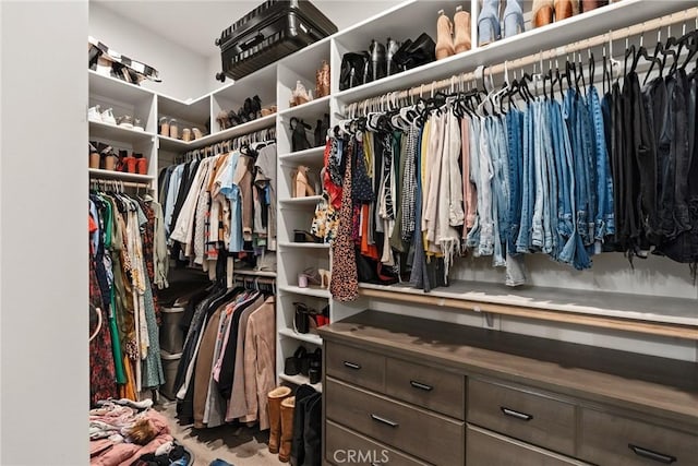 view of walk in closet