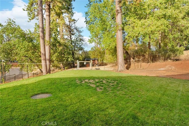 5772 Acorn Ridge Dr, Paradise, CA 95969 - view of yard