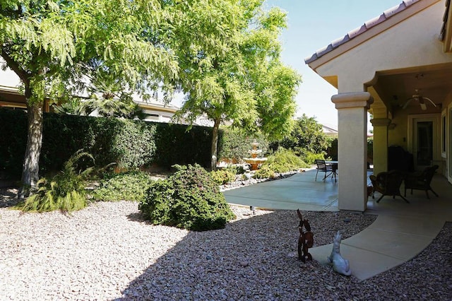 view of yard featuring a patio area