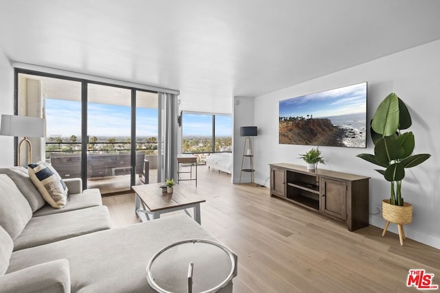 living room with a wall of windows and light hardwood / wood-style flooring