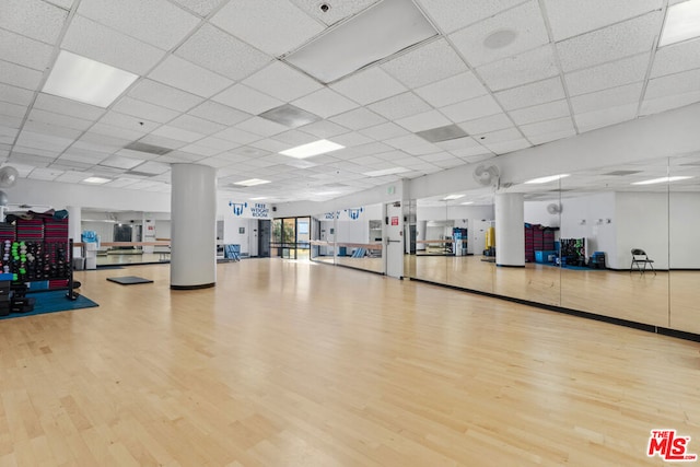 workout area featuring a drop ceiling and hardwood / wood-style floors